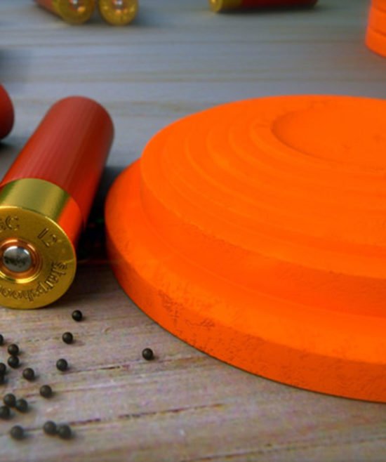 Clay Pigeon Shooting